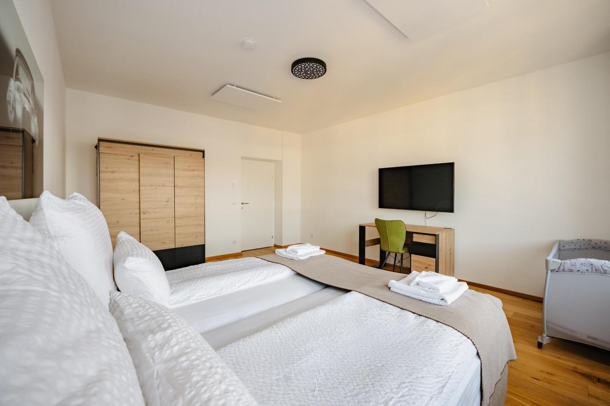 Tamliving Center Luxury 4 Rooms Smart Tv Kitchen Great View Graz Exterior photo